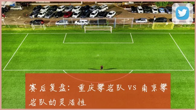 赛后复盘：重庆攀岩队 vs 南京攀岩队的灵活性