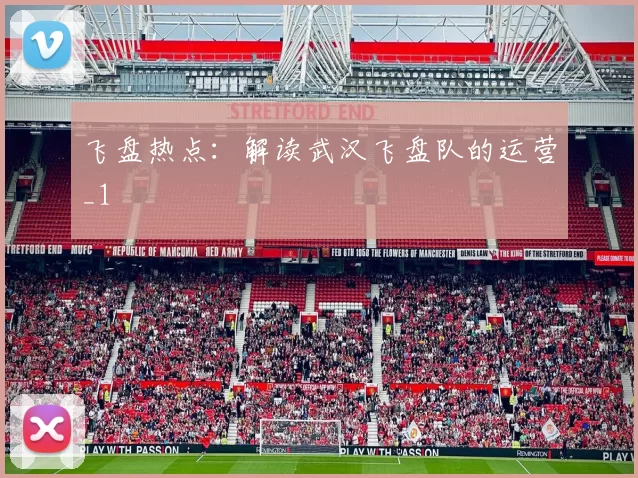 飞盘热点：解读武汉飞盘队的运营_1