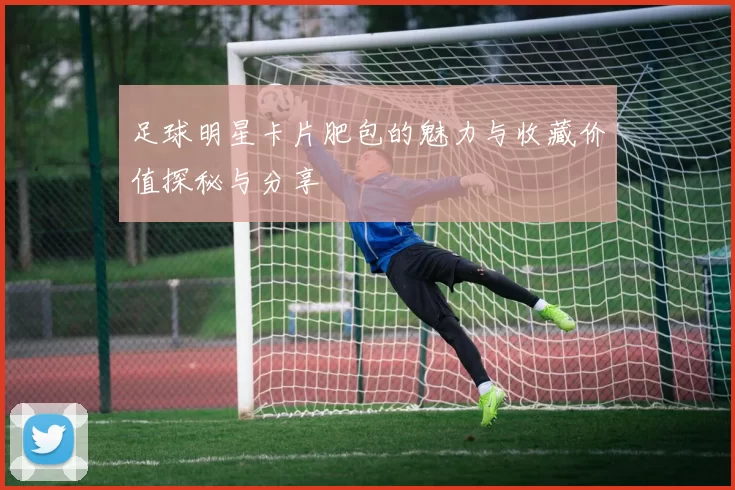 足球明星卡片肥包的魅力与收藏价值探秘与分享