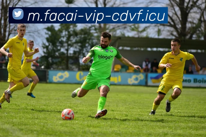 华体会体育注册品牌故事