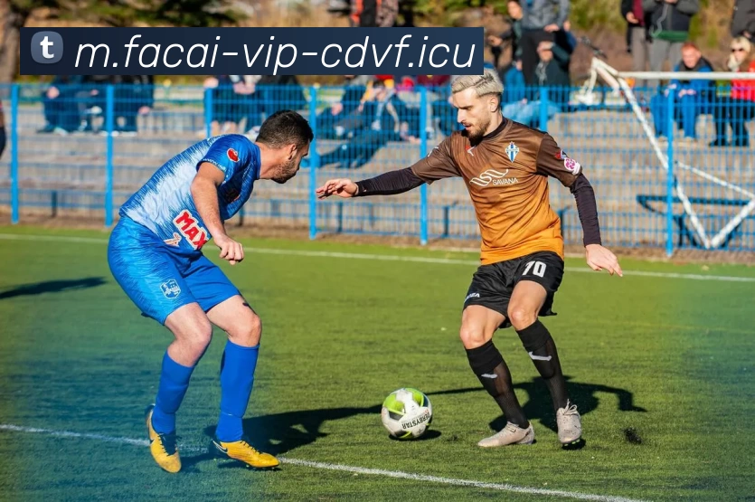 华体会体育注册服务体系